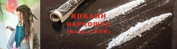 МДПВ Бородино