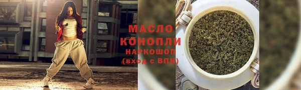 МДПВ Бородино
