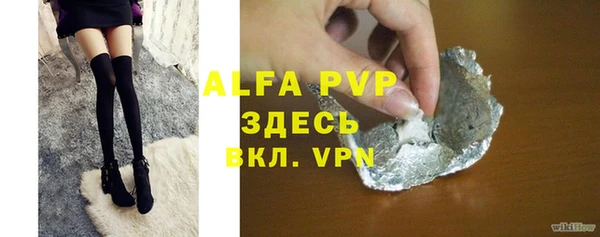 дмт Богданович