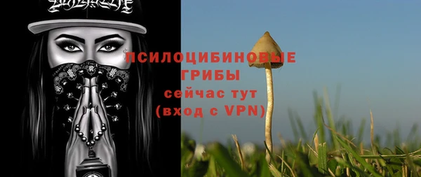 метадон Сосновоборск