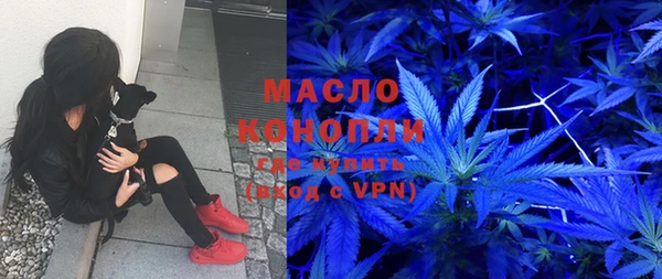 дмт Богданович