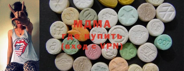 дмт Богданович