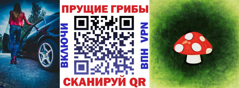 Псилоцибиновые грибы Magic Shrooms  где купить наркоту  Свободный 